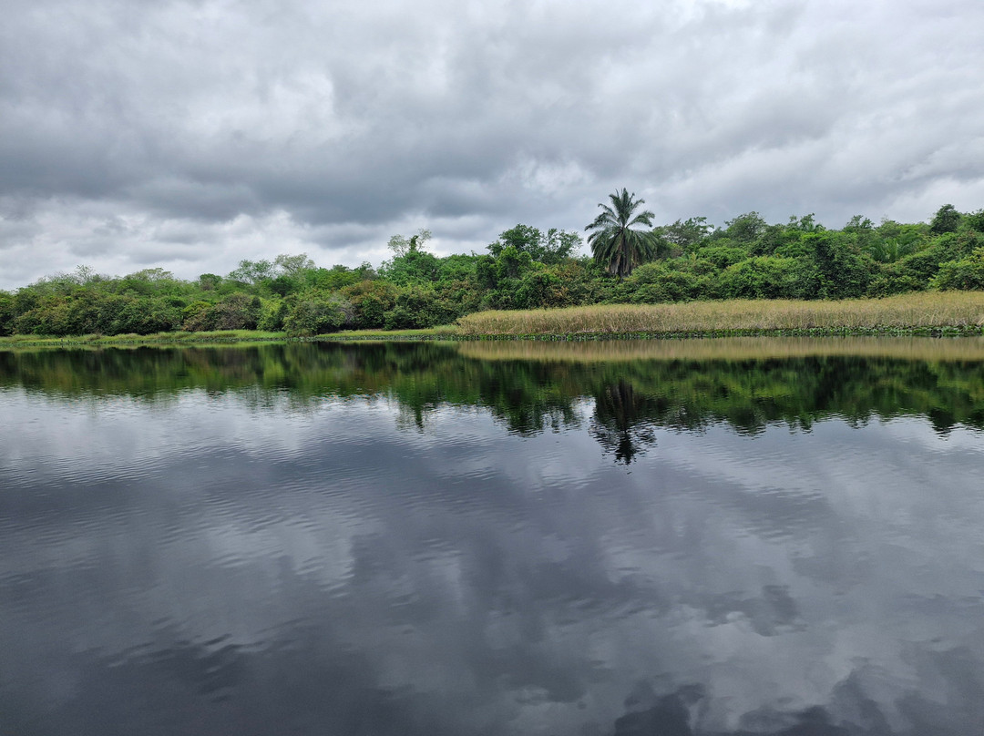 Fazenda Marimbus-迪亚曼蒂那国家公园必去景点