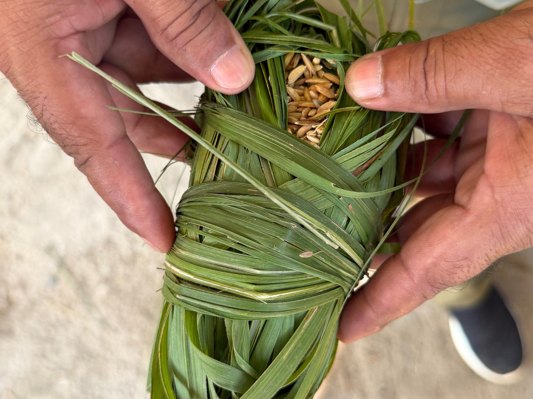 Elephant Breeding Centre-苏拉哈必去景点