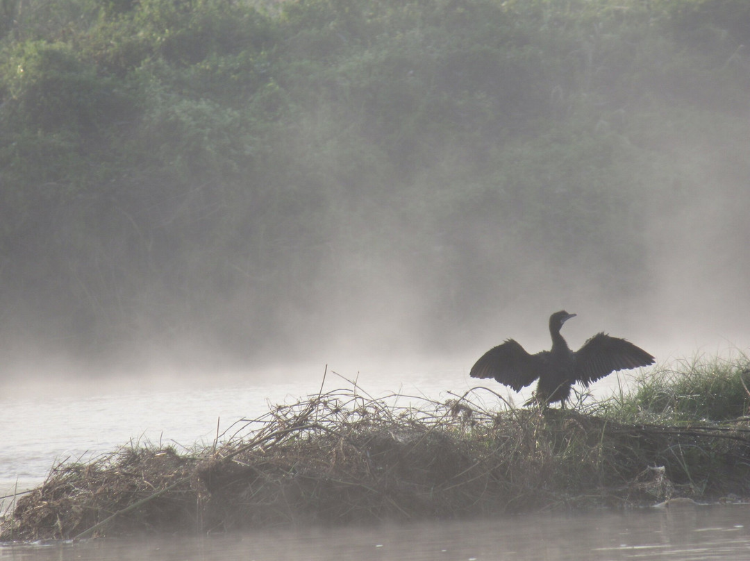 The Chitwan Jungle Guides-苏拉哈必去景点