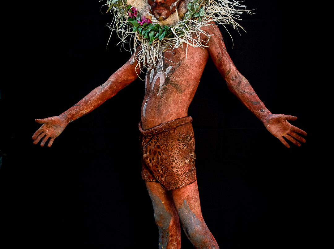 Carnaval de Barranquilla-Barranquilla必去景点