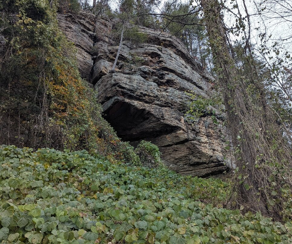 Southeast Mountain Guides-Campton必去景点