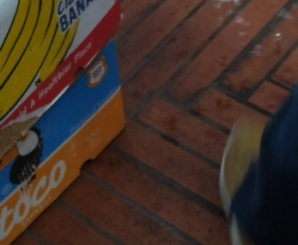 Pazari i Ri-地拉那必去景点