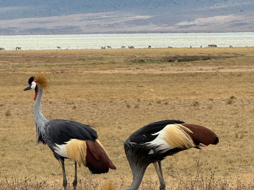 BADGER ADVENTURES TOURS & SAFARI-Arusha Chini必去景点