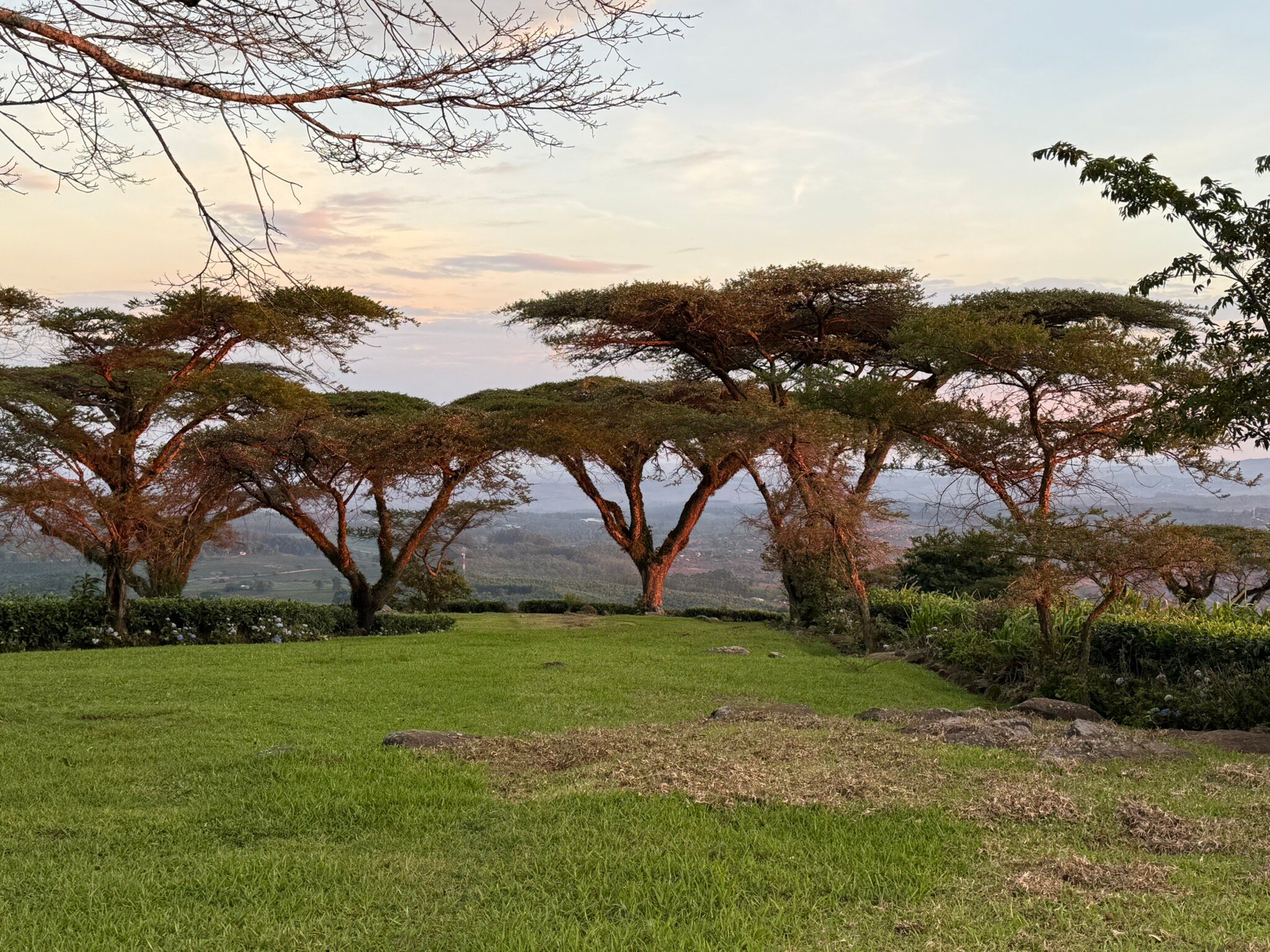 Huntingdon House-官方