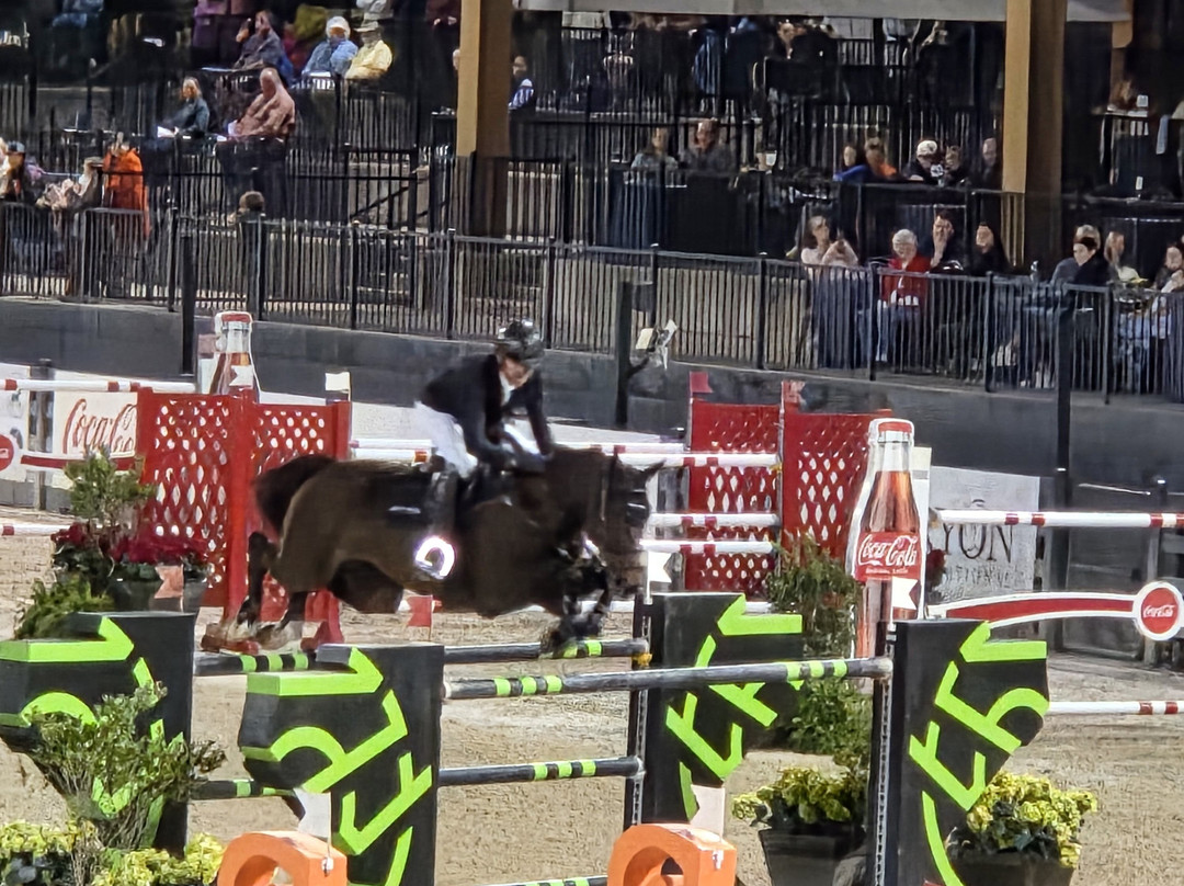 Tryon International Equestrian Center-米尔泉必去景点