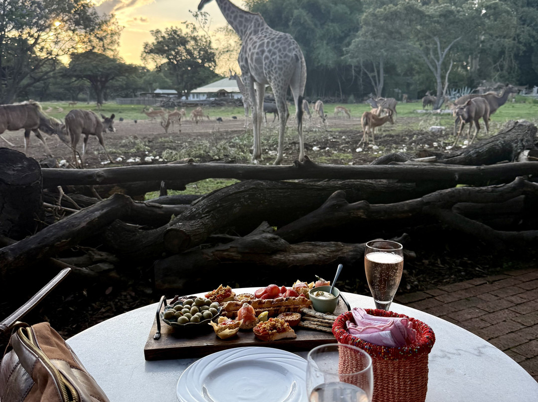 Wild Is Life-哈拉雷必去景点