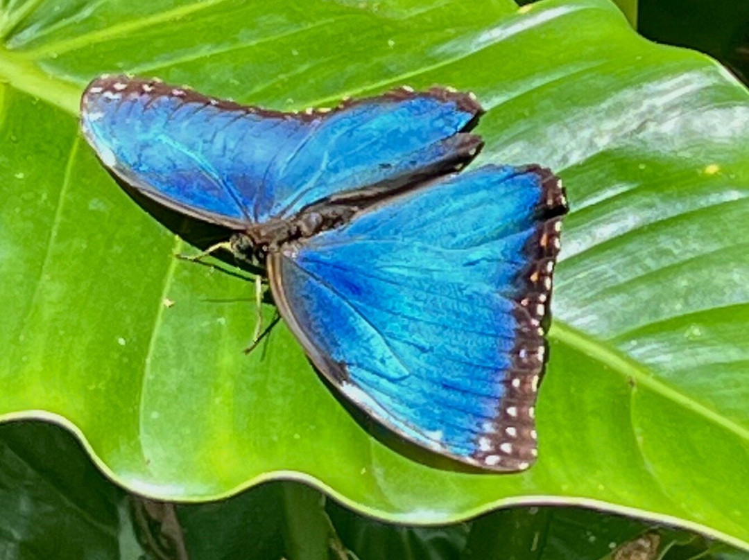 Gio Tours -  Day Tours-彭塔雷纳斯必去景点