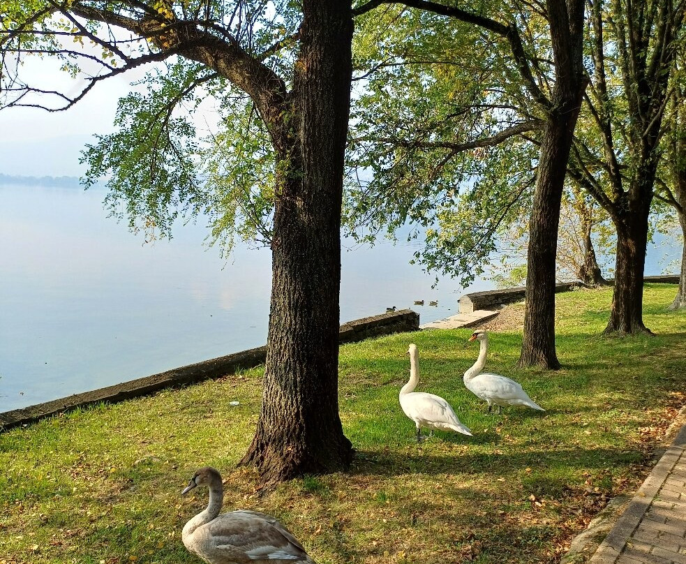 Lago di Pusiano-Bosisio Parini必去景点