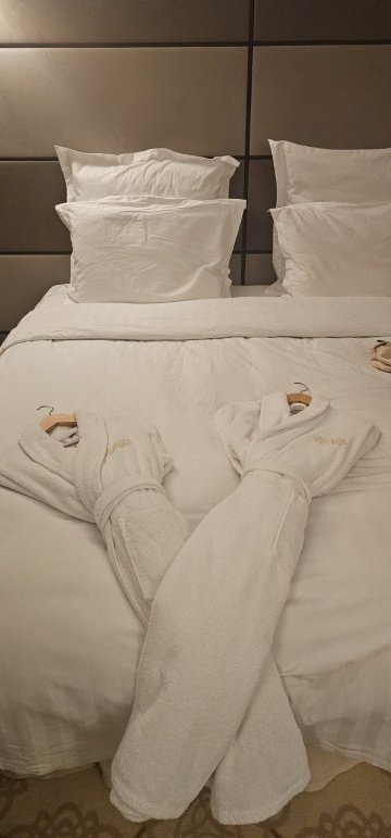 Ambassadori Tbilisi Hotel-客卧