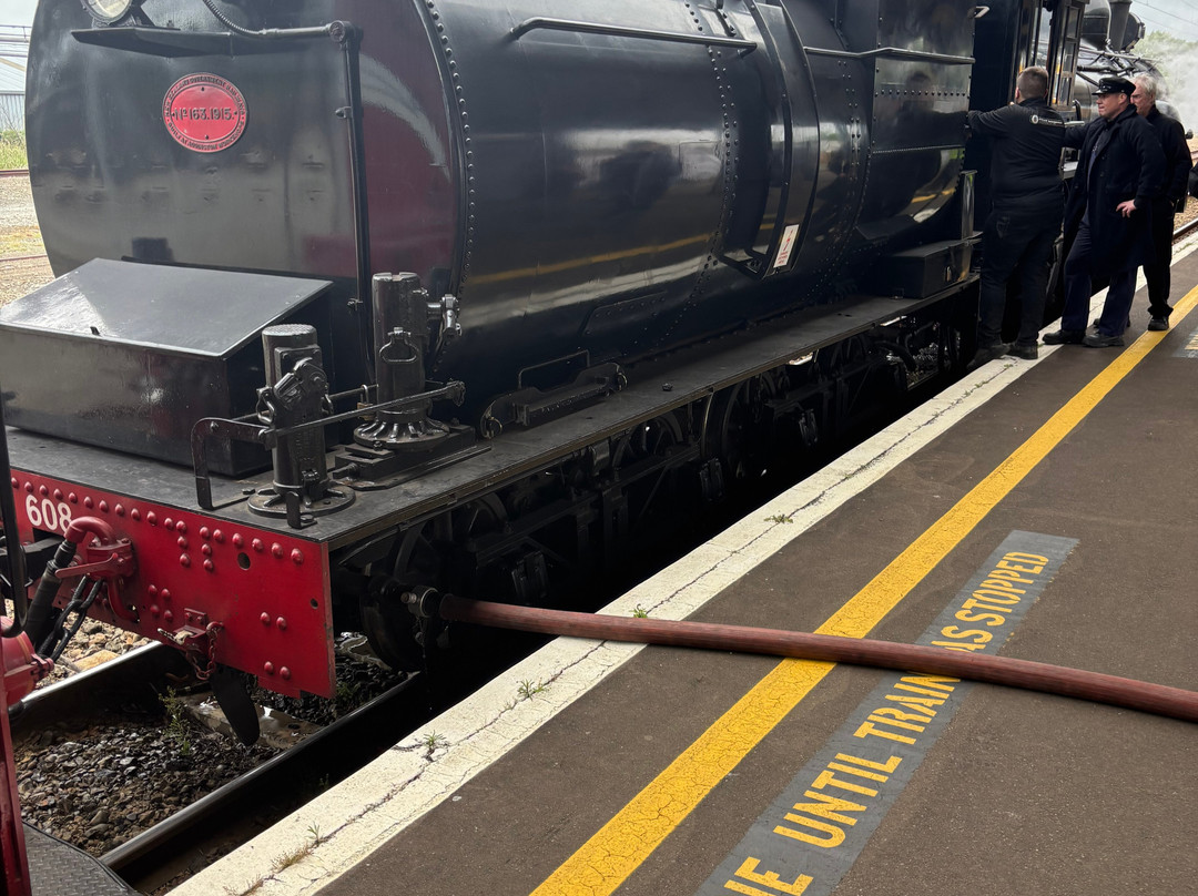 Steam Incorporated-Paekakariki必去景点