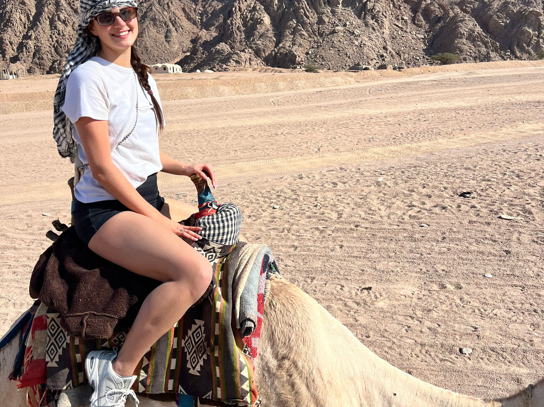 El Sherif Safari-沙姆沙伊赫必去景点