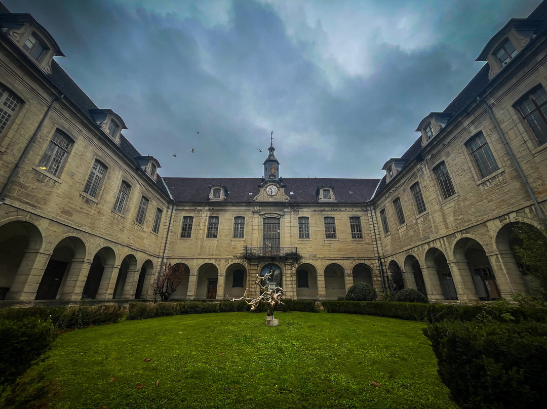 Hôtel-Dieu de Lons-le-Saunier-隆勒索涅必去景点