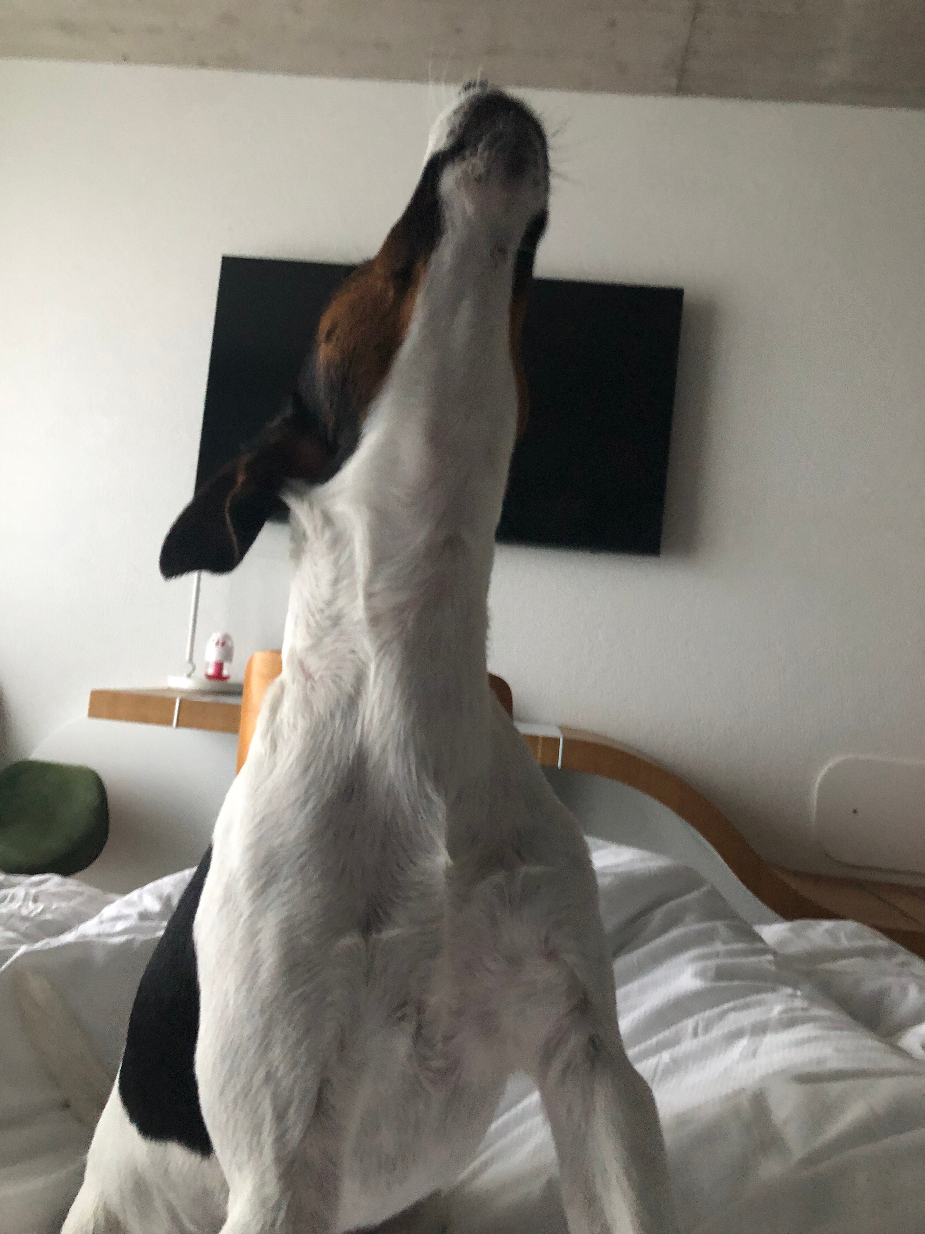 Tailormade Hotel IDEA Spreitenbach-家庭/游戏区