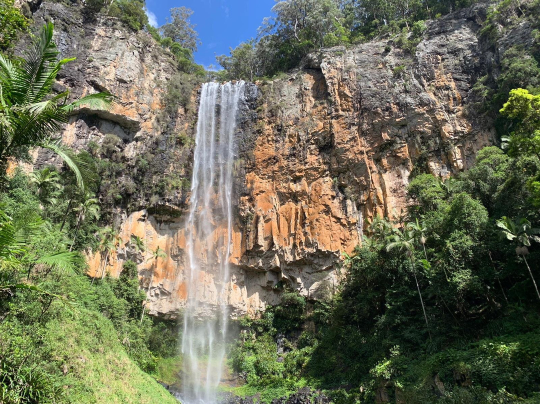 Purling Brook Falls-春之泉必去景点
