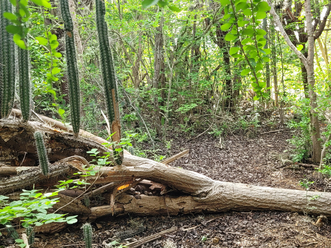 Christoffelpark-Sabana Westpunt必去景点