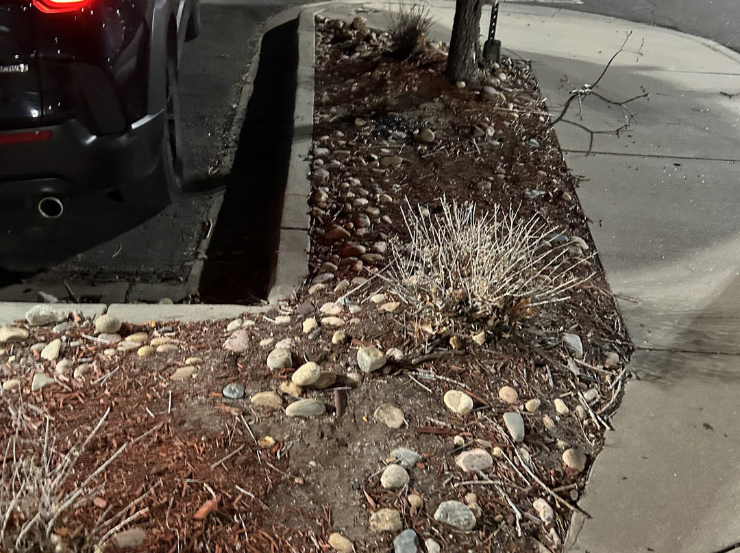 丹佛机场希尔顿花园酒店主图