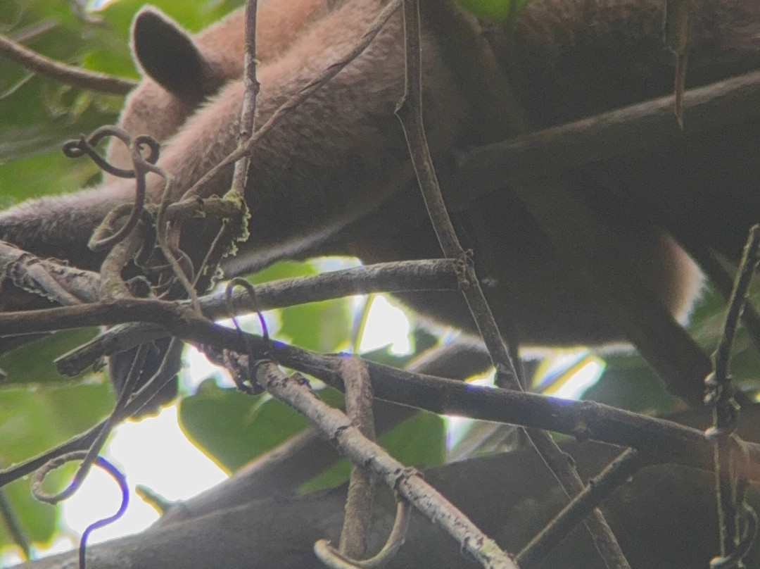 Sukia Travel-德雷克湾必去景点