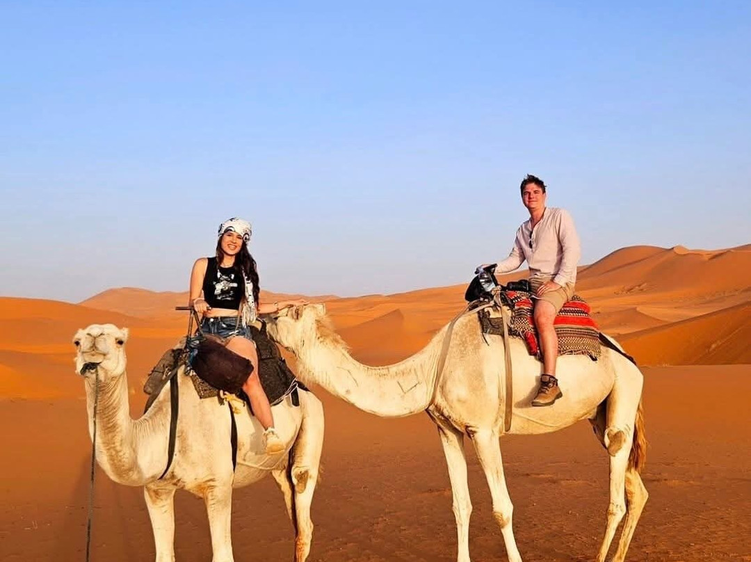 Morocco Travel Link-非斯必去景点