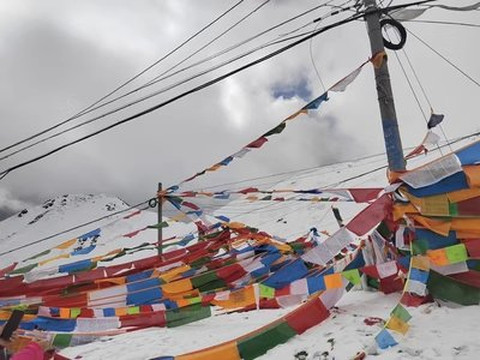 西藏域龍旅行社-拉萨市必去景点
