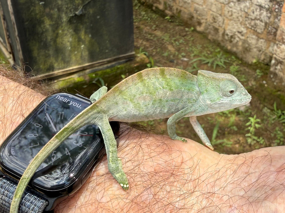Madarako Tours-安塔那那利佛必去景点