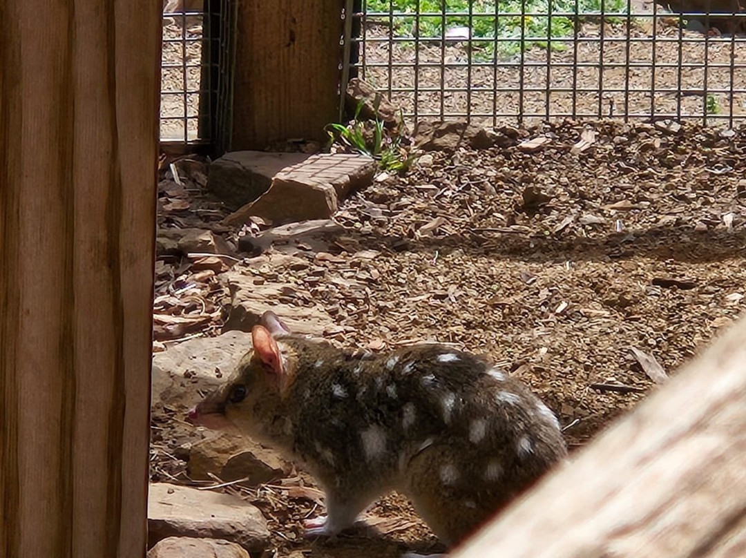 波诺朗野生动物园-Brighton必去景点