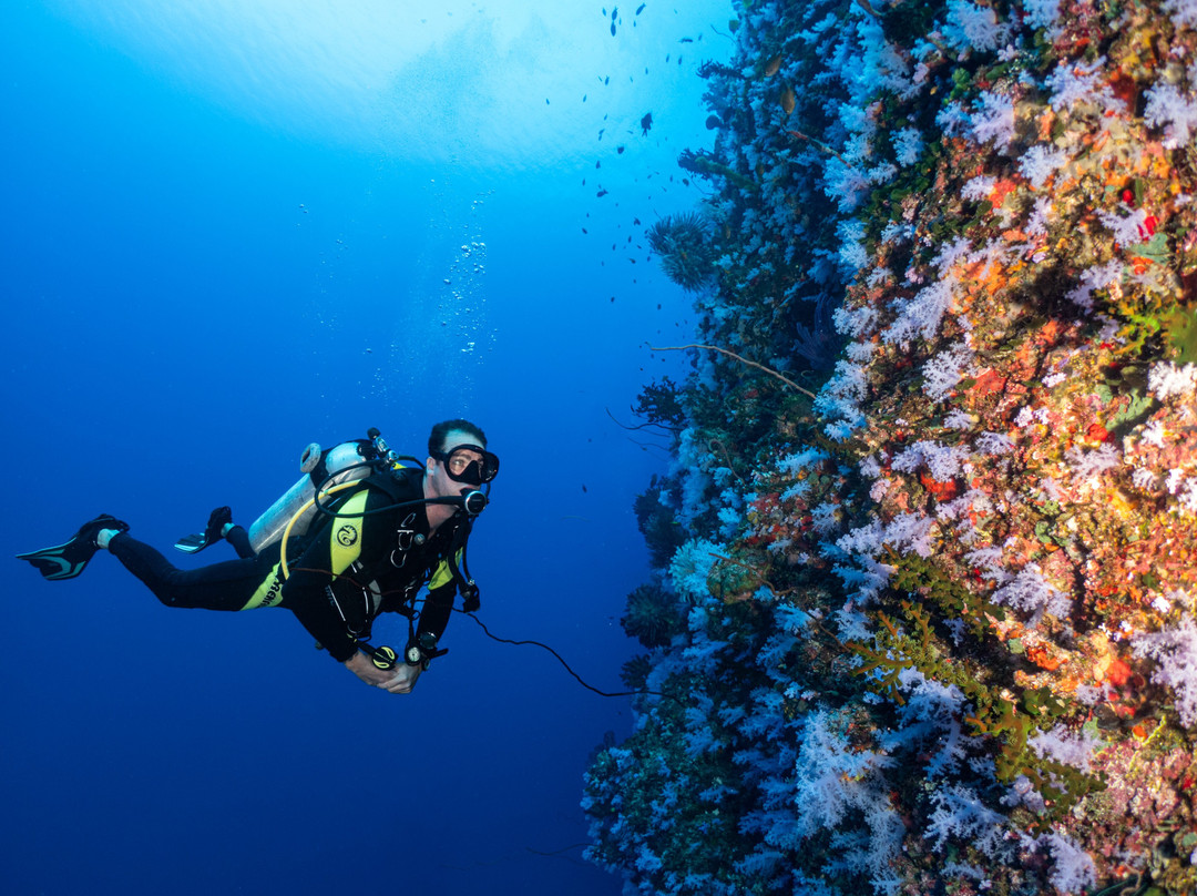Reef Life Taveuni-马太必去景点