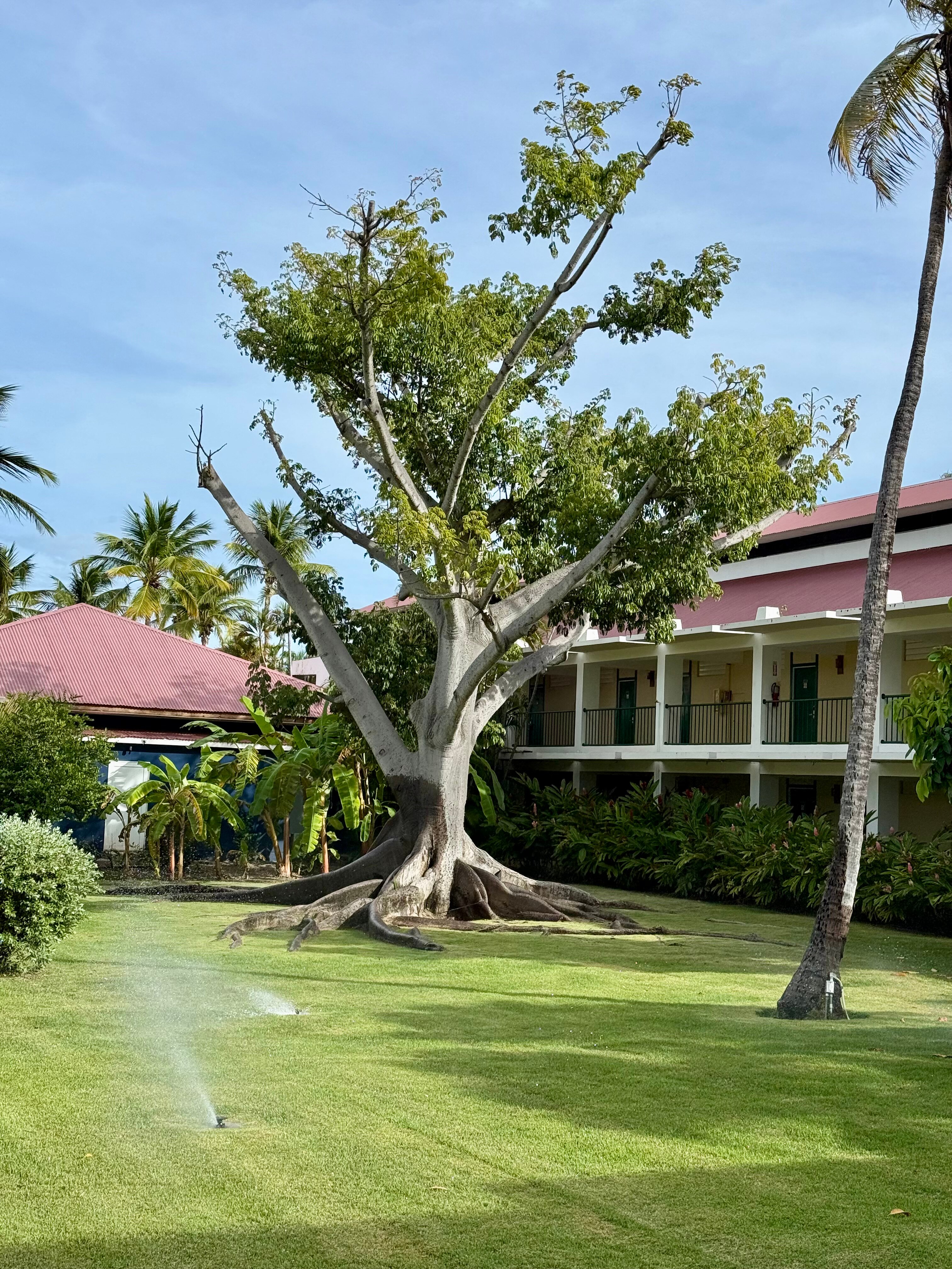 Copamarina Beach Resort & Spa-浴室