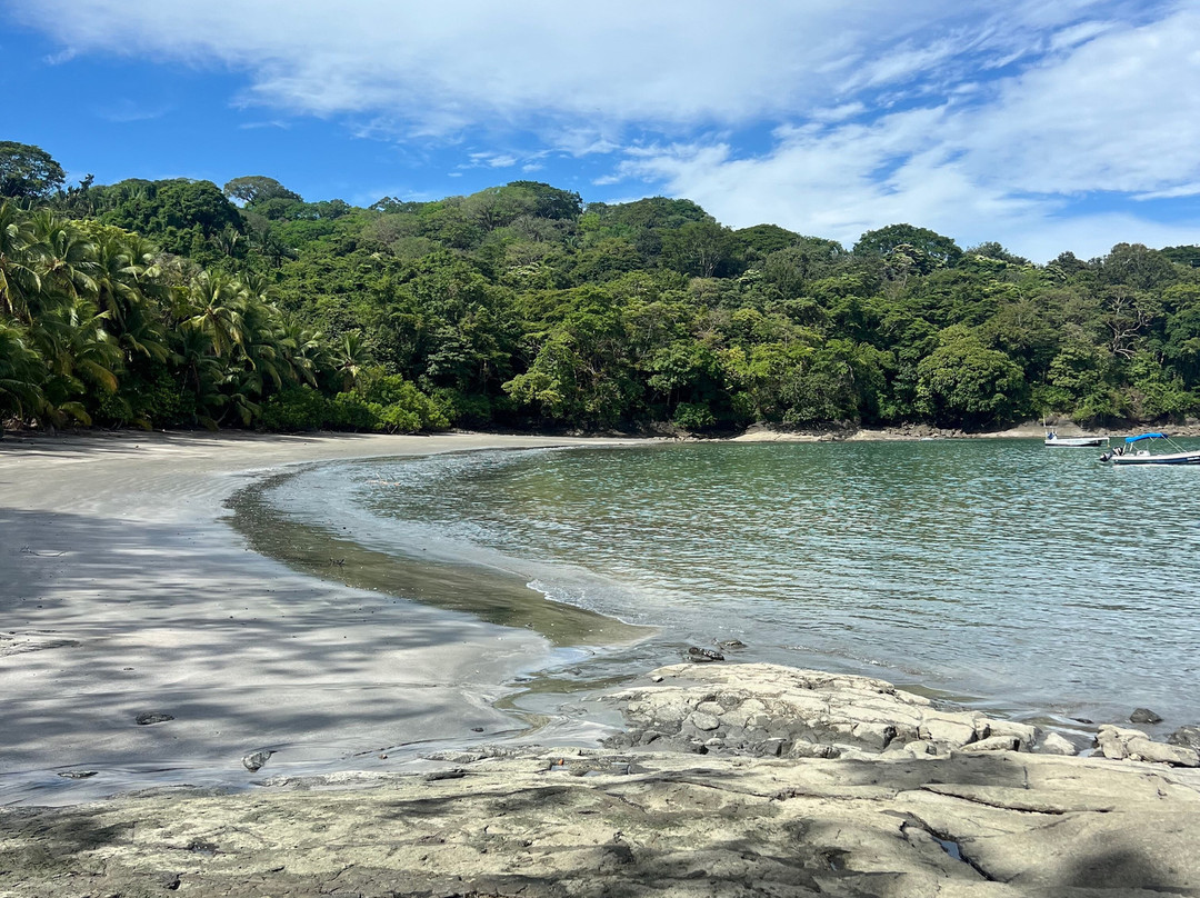 Selva Terra Island Resort主图