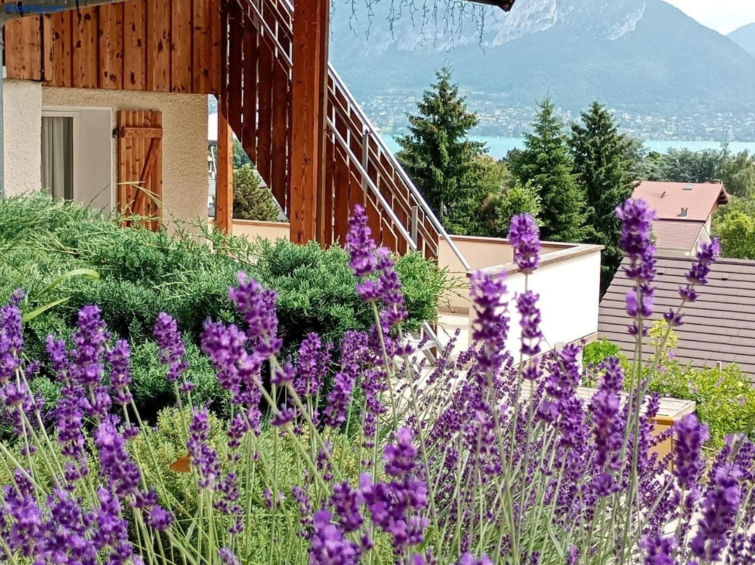 Vue Lac Lodges