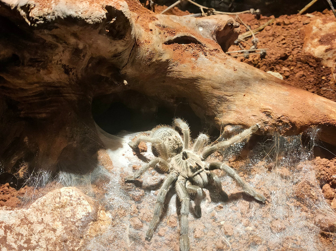 Citta Della Scienza-那不勒斯必去景点