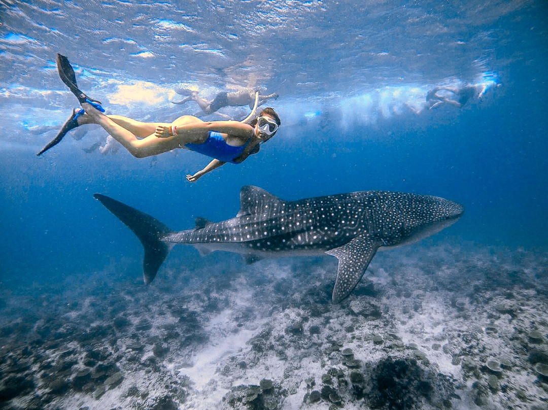 iCom Tours-马富士岛必去景点