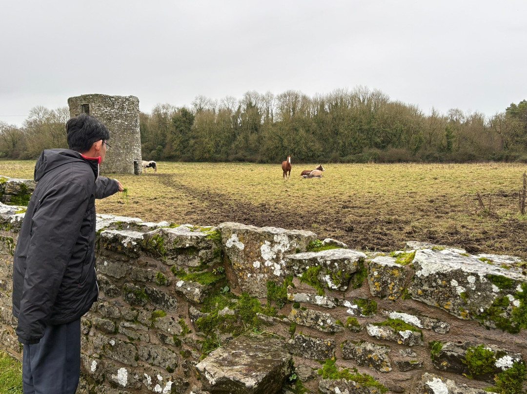 Ballybeg Priory-Mallow必去景点