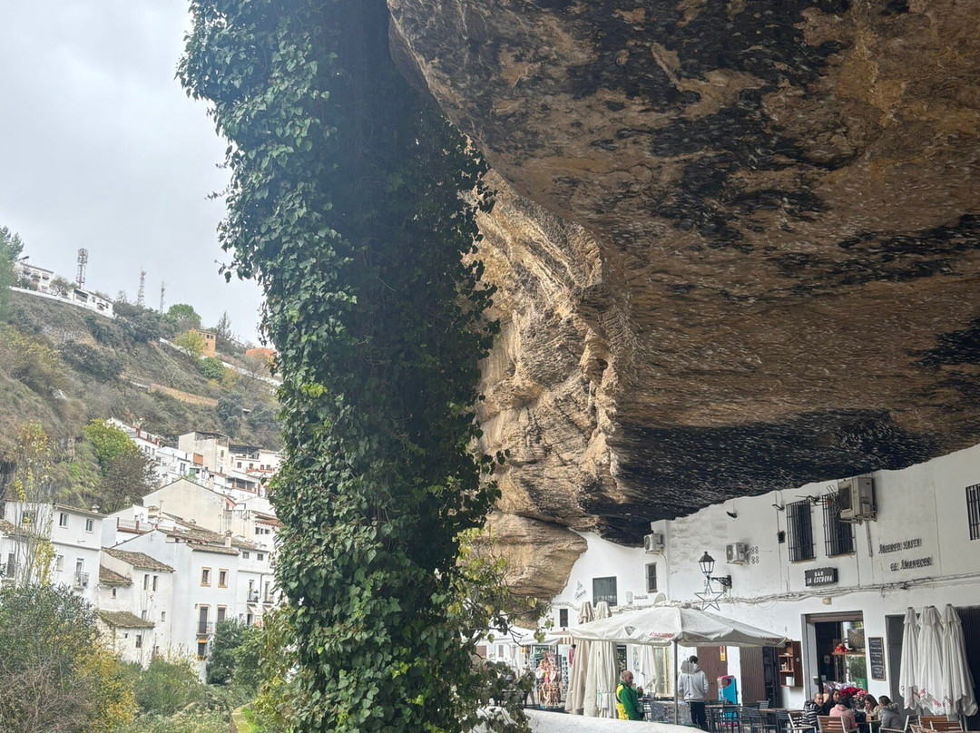 Calle Cueva Del Sol-Setenil de las Bodegas必去景点