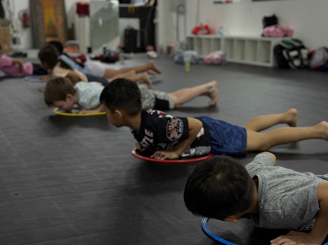 Bushido Fight Academy-新加坡必去景点