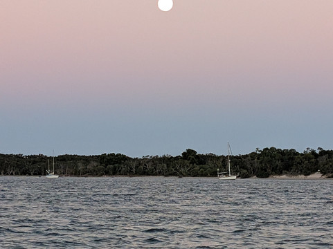 Beachcomber Charters-黄金海岸必去景点