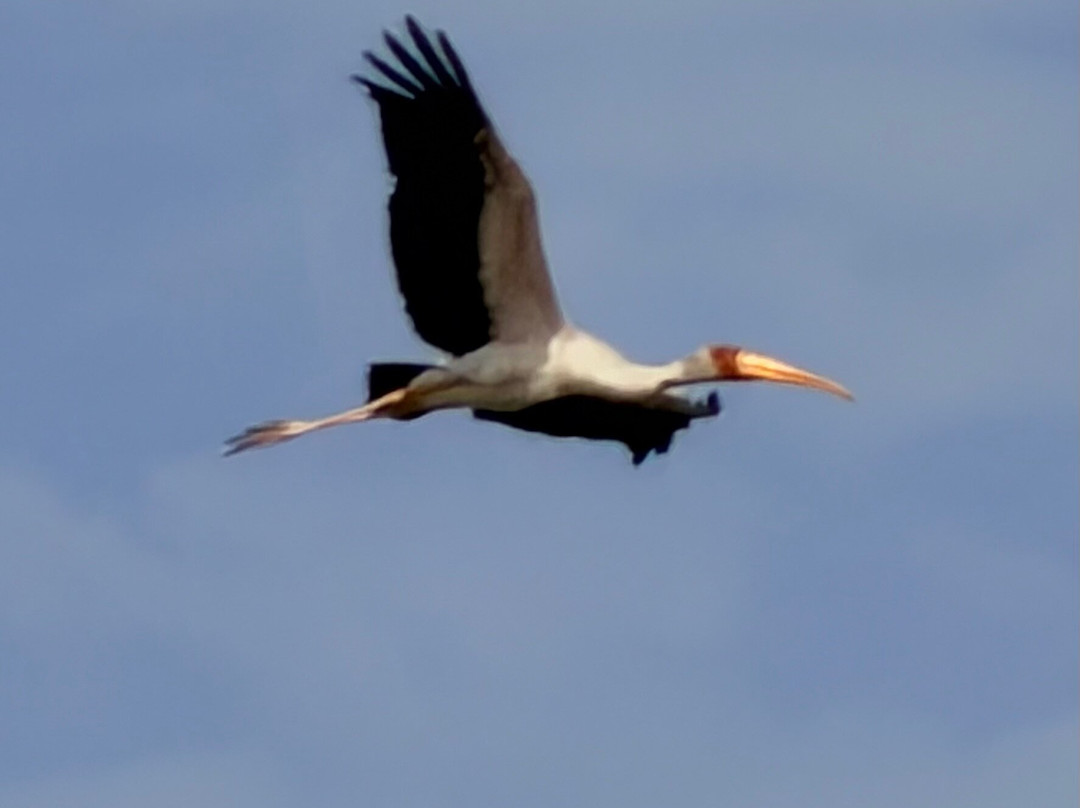 Yerim Tours Senegal-莫布瓦必去景点