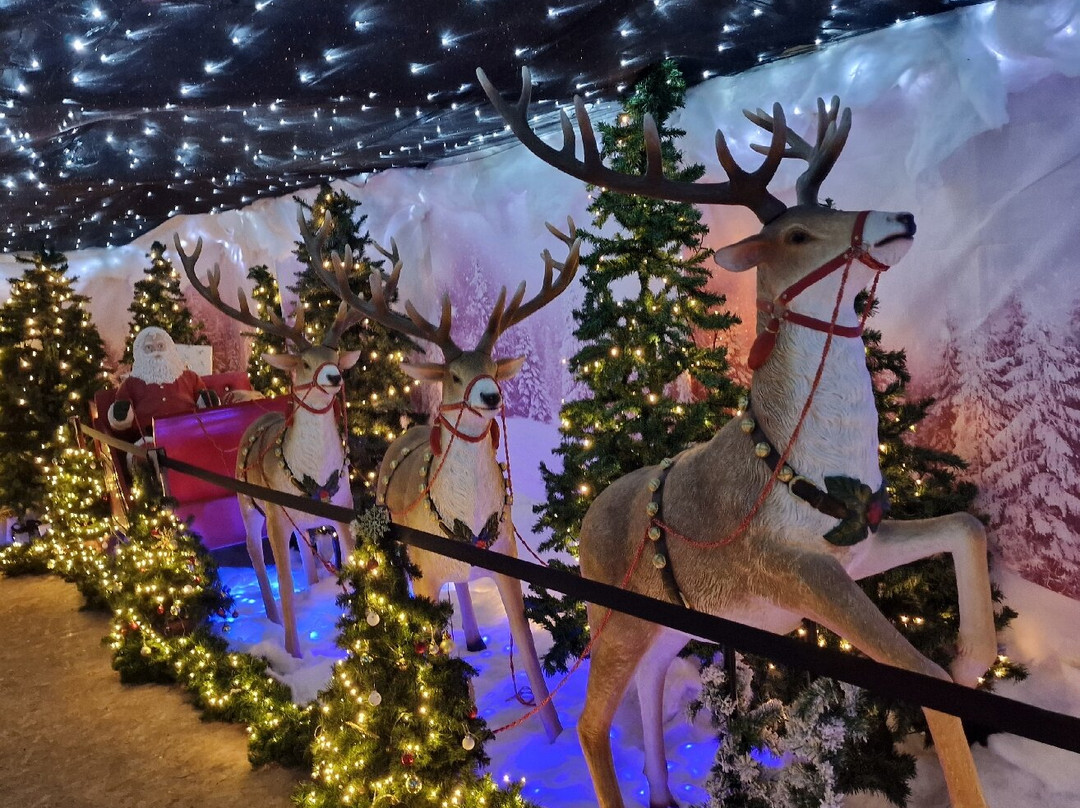 Lappa Valley-纽奎必去景点