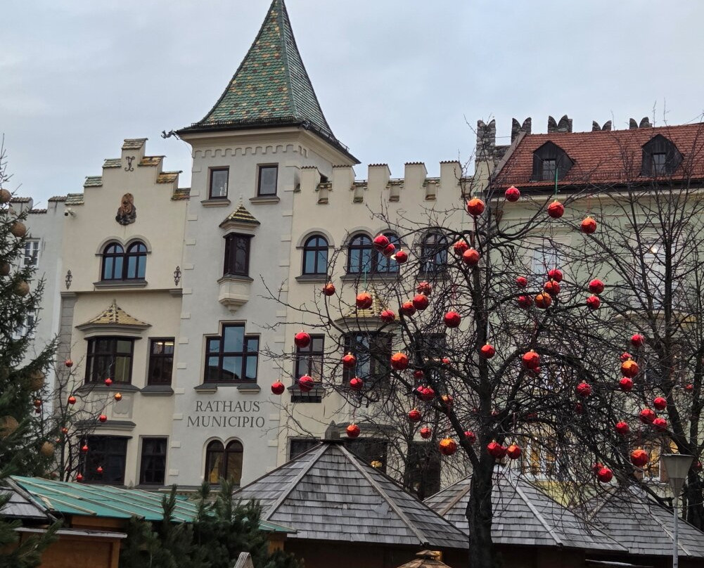 Palazzo Municipale-布雷萨诺内必去景点