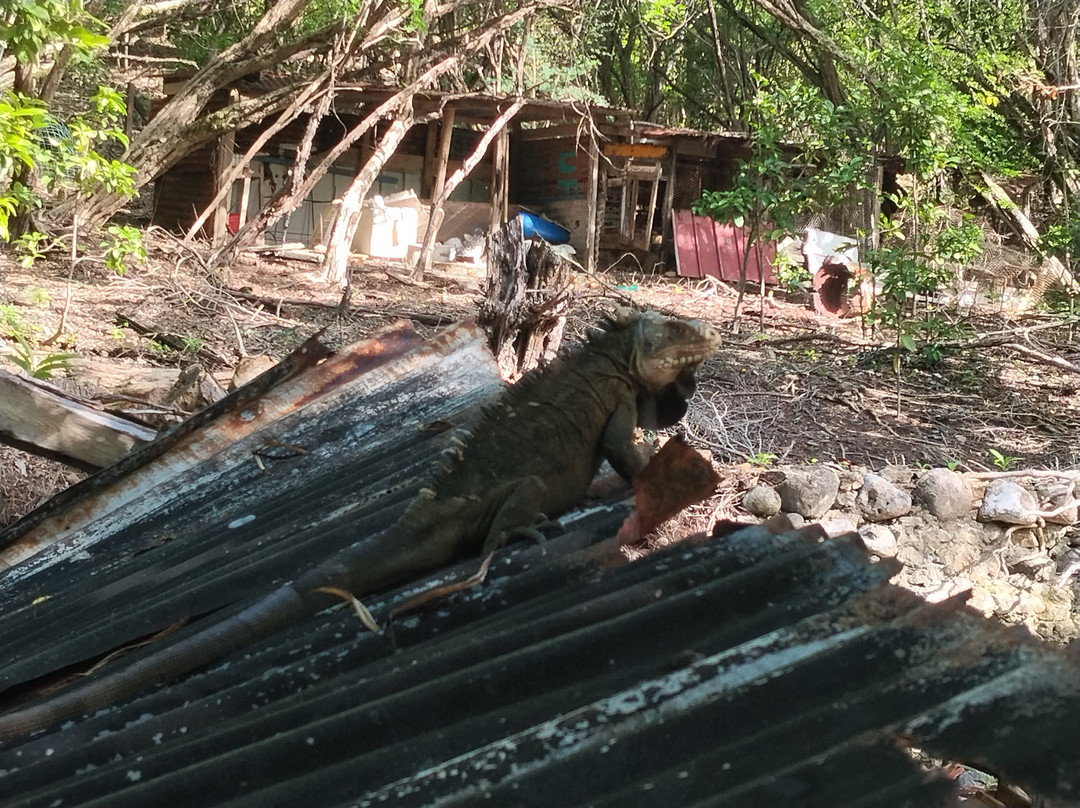 Balade du Soleil-Le Francois必去景点