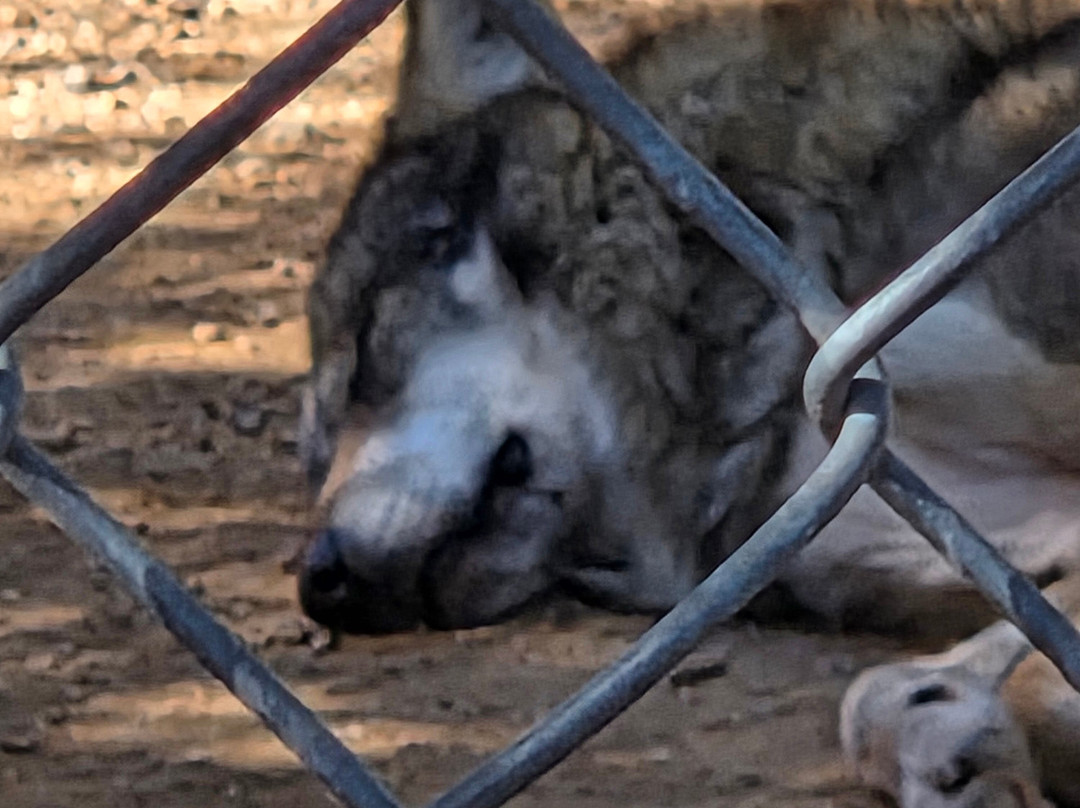 Southwest Wildlife Conservation Center-斯科茨代尔必去景点