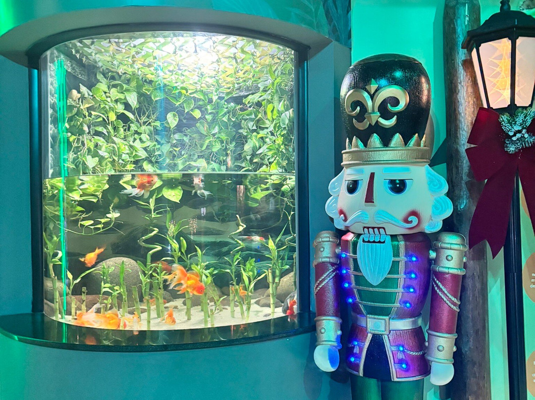 Acuario Michin Guadalajara-瓜达拉哈拉必去景点