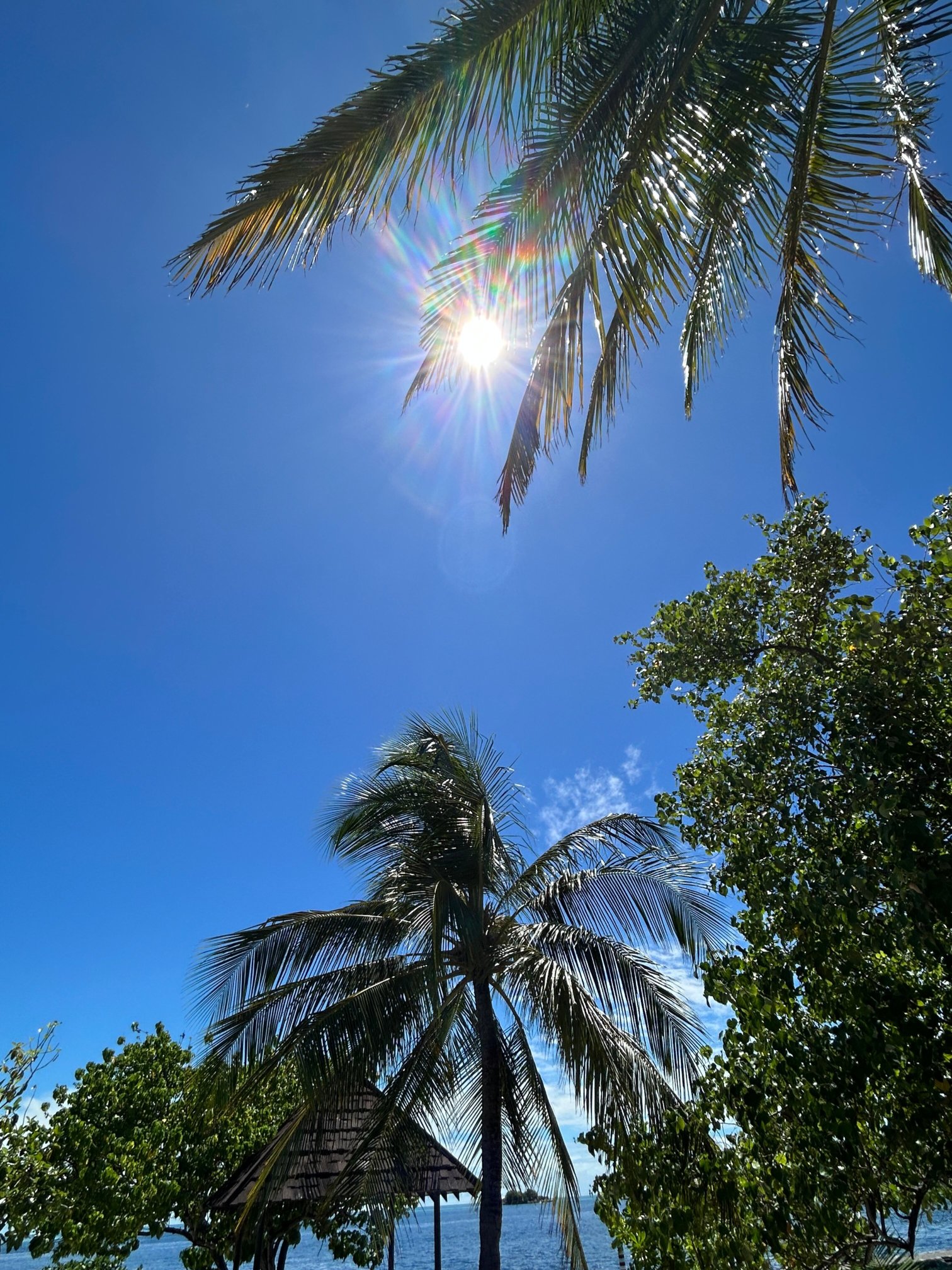 雅暗礁艾莱霍酒店-浴室