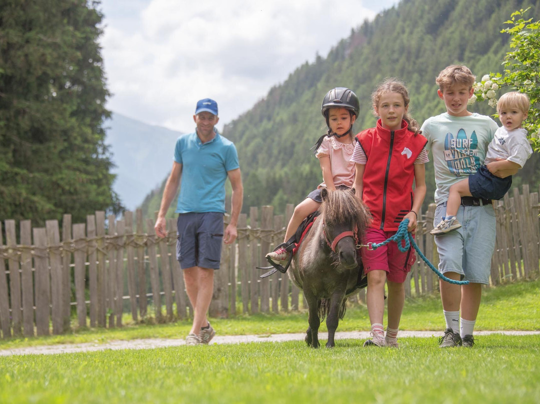 Obereggerhof - Apartments - Farm Holidays主图