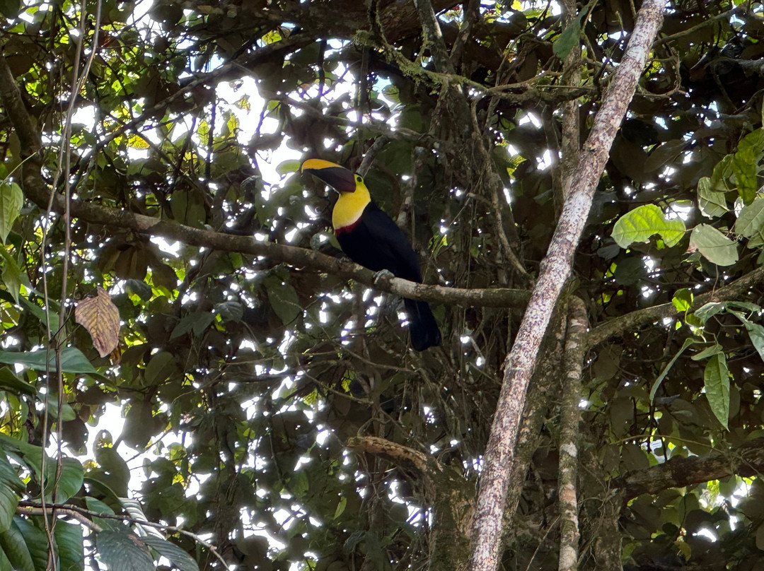 Blessing Tours-Area de Conservacion Guanacaste必去景点