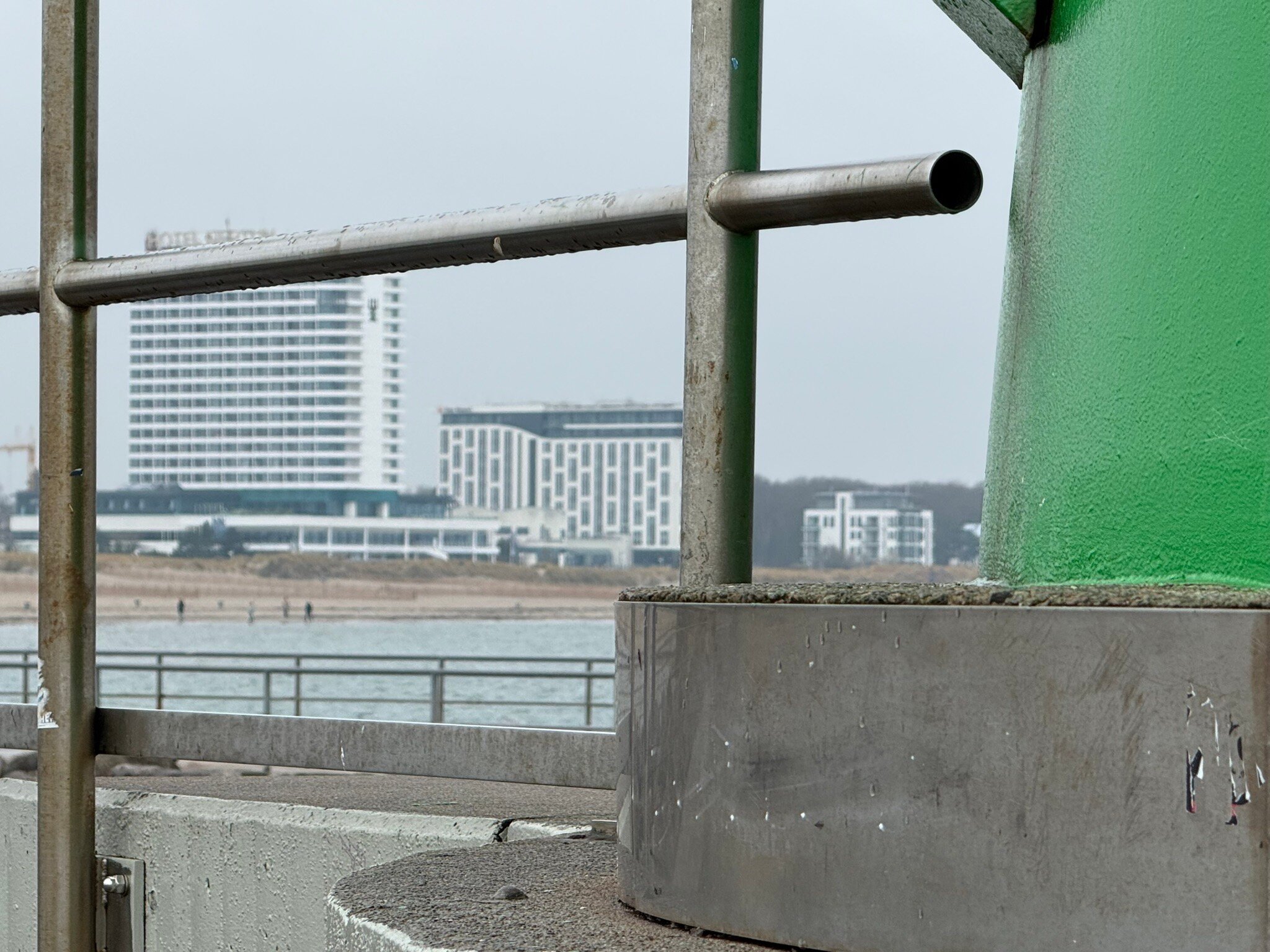 Aja Warnemünde-官方