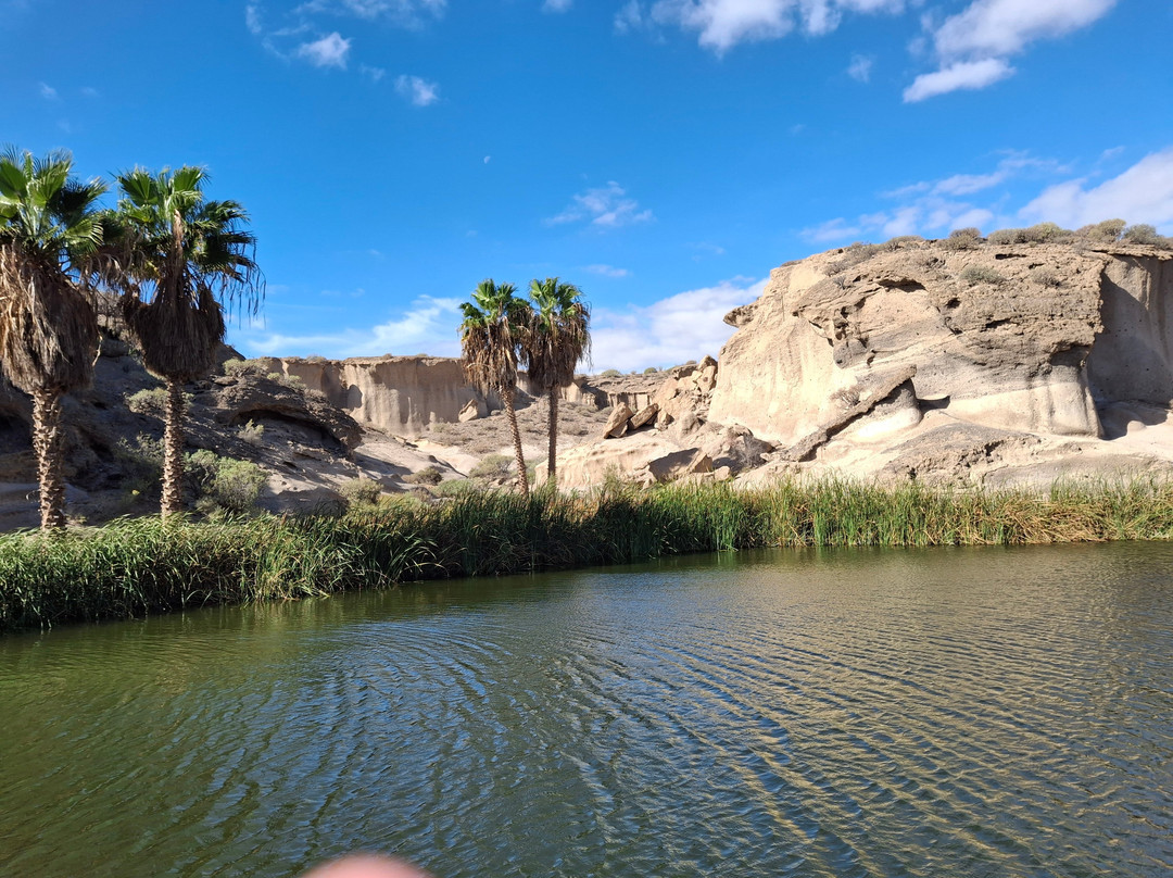 Reserva Ambiental de San Blas-圣米格尔德亚沃纳必去景点