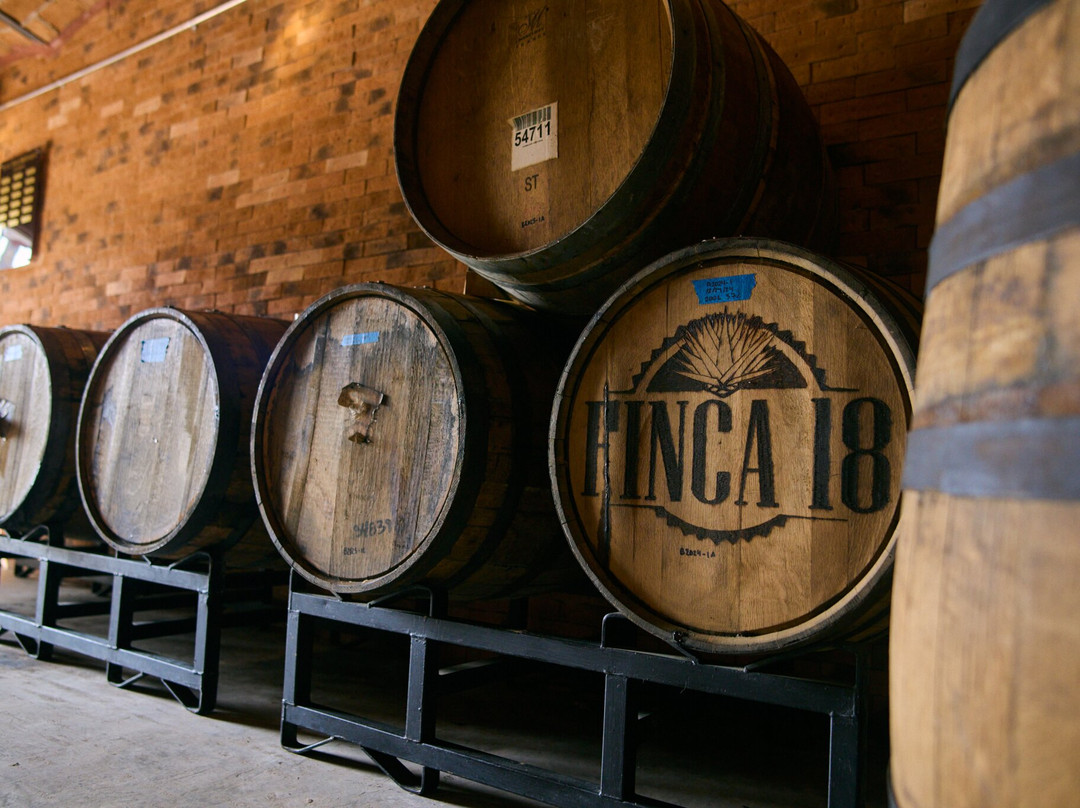 Finca 18-瓦拉塔港必去景点