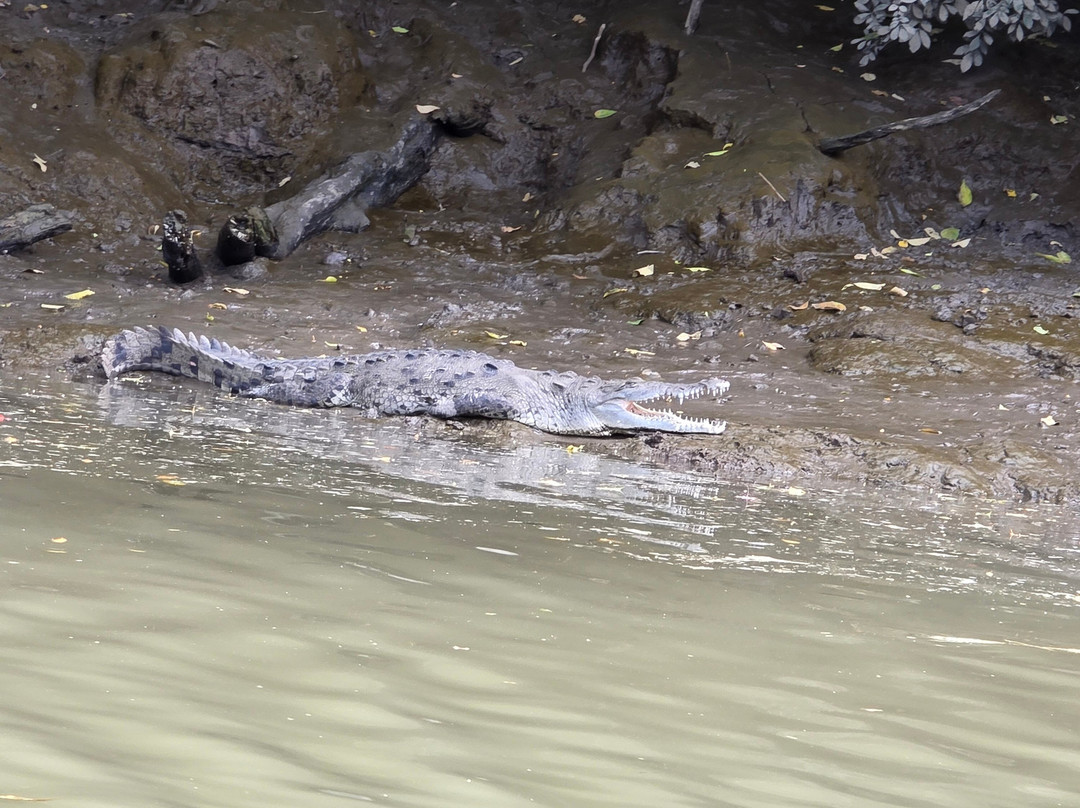 Water And Land Activities-Playa Panama必去景点