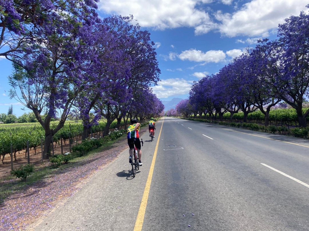 Cycle the Cape - Day Tour-鱼角必去景点