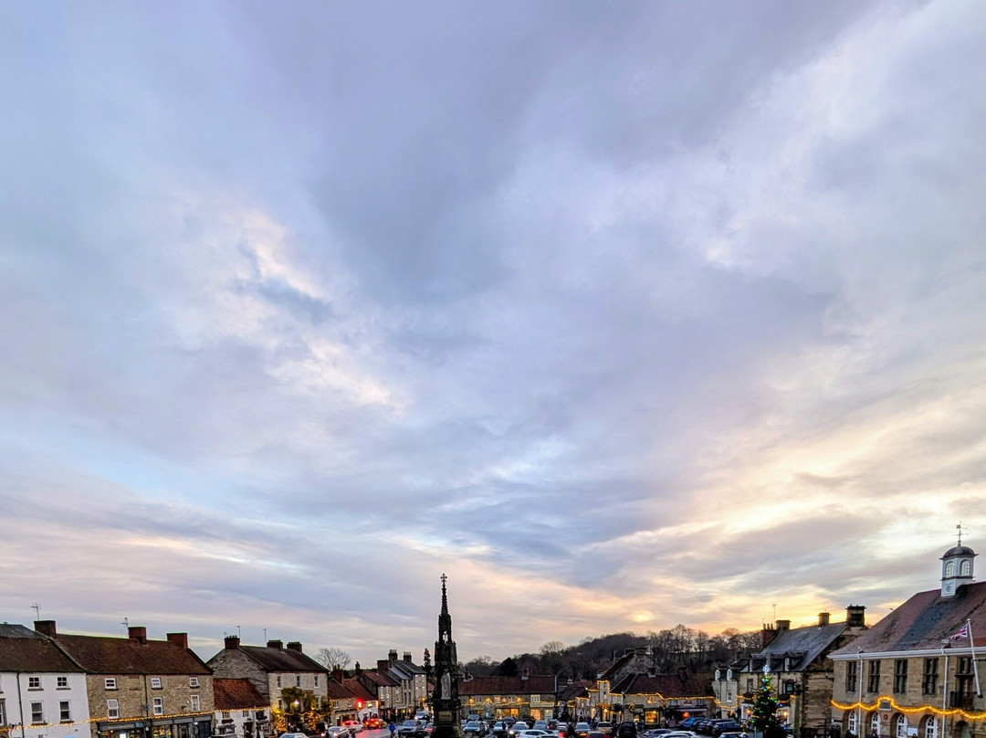 黑天鹅酒店主图